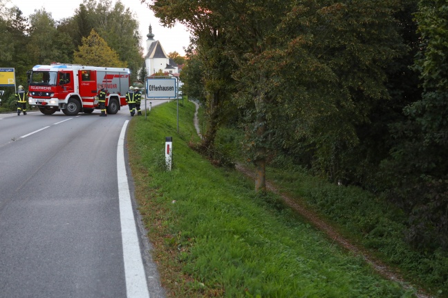 Verletzte Frau nach Sturz aus Bachbett des Grünbachs in Offenhausen gerettet