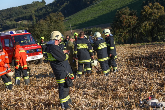 Drei Feuerwehren bei Feldbrand in Schlüßlberg im Einsatz