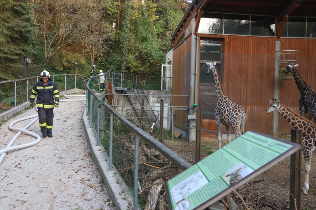 Große Einsatzübung zwischen Giraffen, Pelikanen, Besucherinnen und Besuchern im Zoo Schmiding