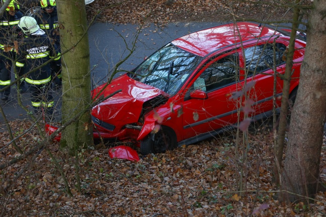 Auto in Wallern an der Trattnach gegen Baum gekracht