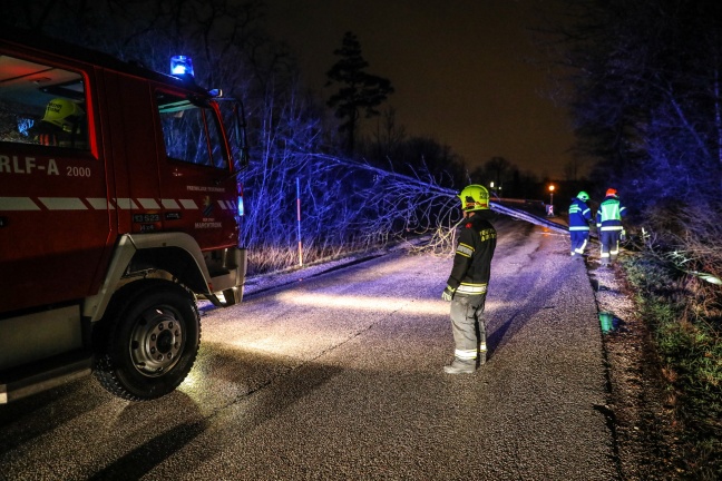 Stürmisches Winterwetter sorgt für Einsätze der Feuerwehren