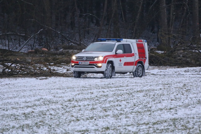 Personenrettung nach schwerem Forstunfall in Gunskirchen