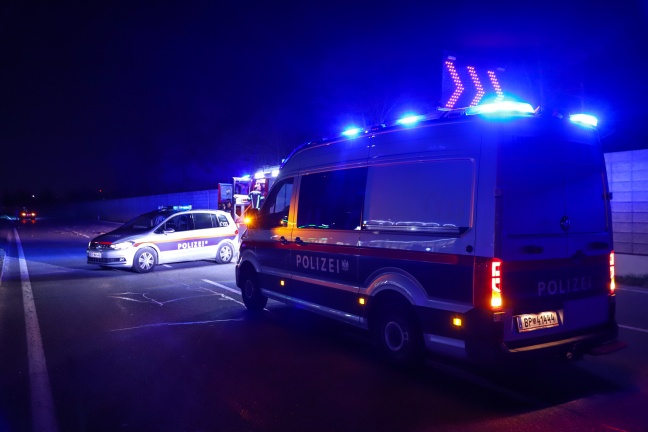 Äste und Sträucher nach Verkehrsunfall in Wels-Schafwiesen auf Fahrbahn verteilt