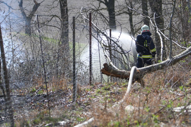 Flur- beziehungsweise Waldbrand in unwegsamem Gelände in Buchkirchen sorgt für größeren Einsatz