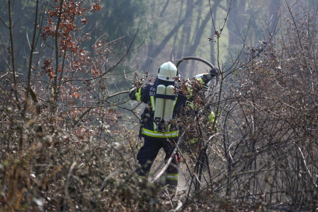 Flur- beziehungsweise Waldbrand in unwegsamem Gelände in Buchkirchen sorgt für größeren Einsatz