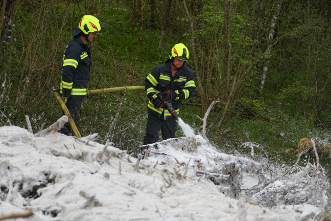 Zwei Feuerwehren bei Brand in einem Wald in Fischlham im Einsatz