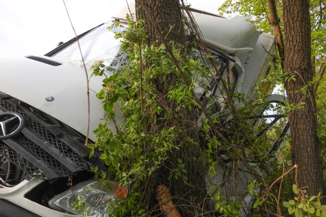 Spezialitätentransporter kracht bei Unfall in Edt bei Lambach gegen Baum