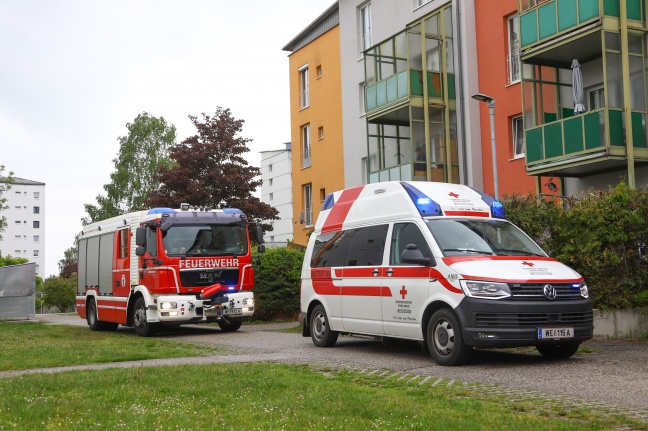 Explosion einer Gaskartusche in einer Wohnung in Wels-Lichtenegg endet glimpflich
