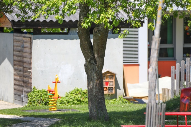 Personenrettung in Weibern: Kind steckte im Garten eines Kindergartens in Astgabel fest
