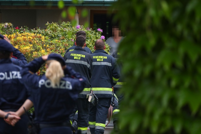Einsatzkräfte suchten in Gärten in Wels-Innenstadt ein verirrtes Reh