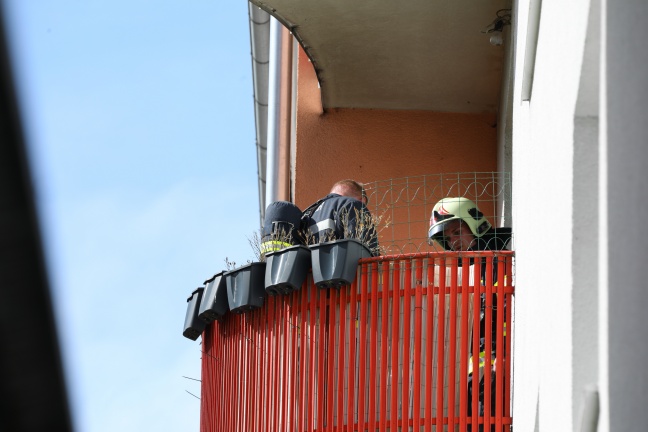 Brand auf einem Balkon eines Mehrparteienwohnhauses in Wels-Lichtenegg