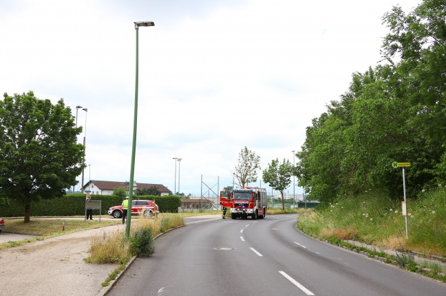 Autolenker nach Kollision mit Baum und Straßenbeleuchtung in Wels-Neustadt geflüchtet