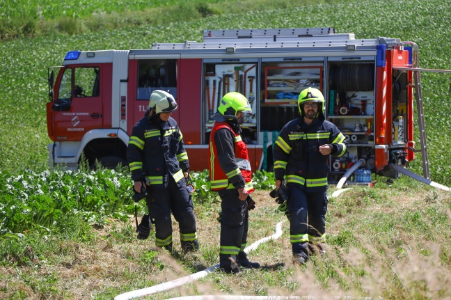 Drei Feuerwehren bei größerem Flurbrand in Oftering im Einsatz