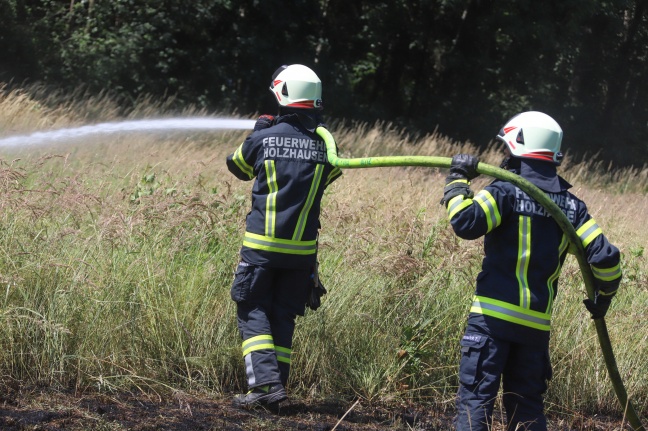 Drei Feuerwehren bei größerem Flurbrand in Oftering im Einsatz