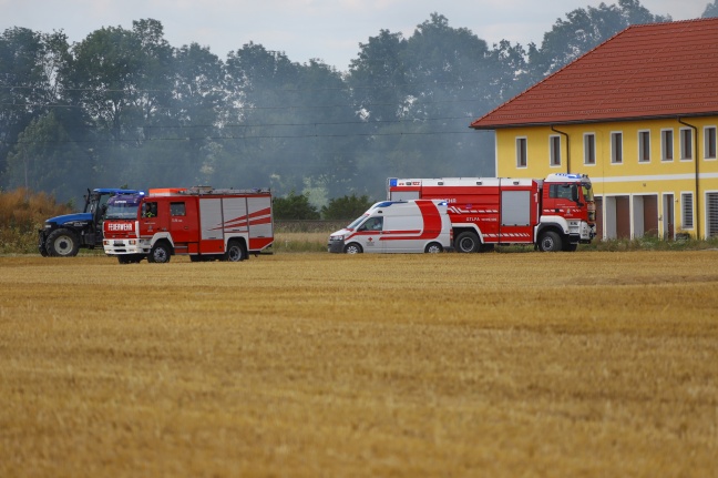 Feldbrand in Marchtrenk sorgt für Einsatz von zwei Feuerwehren
