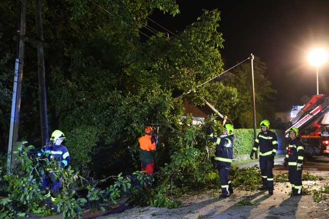 Baum in Marchtrenk bei nächtlichem Gewitter in Strom und