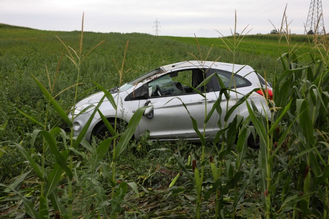 Auto bei Überschlag in einem Maisfeld gelandet