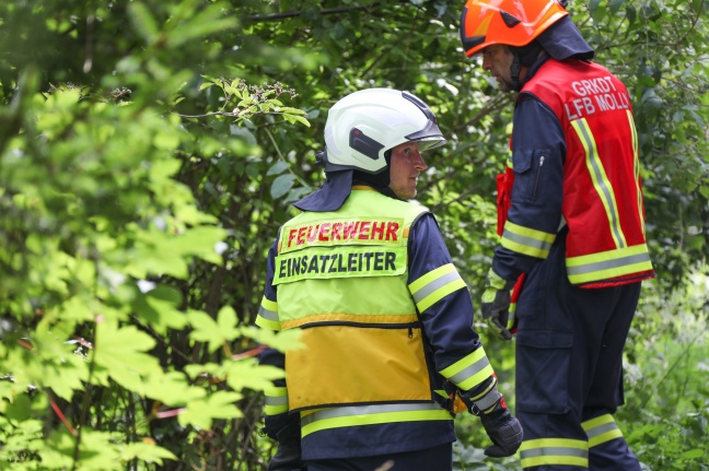 Autolenker bei Verkehrsunfall in Molln mit PKW in steiles Waldstück gestürzt