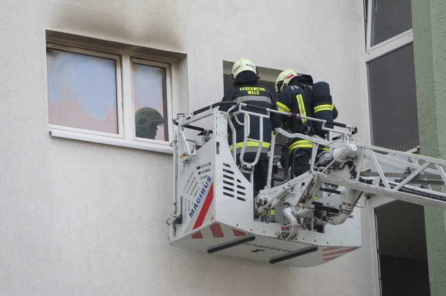 Drei Hunde bei Küchenbrand in Wels-Lichtenegg durch Feuerwehr und Sanitäter gerettet
