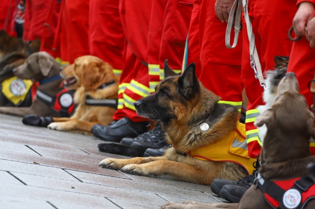 50 Jahre: Tiersegnung als Auftakt zur Jubiläumsfeier der Österreichischen Rettungshundebrigade