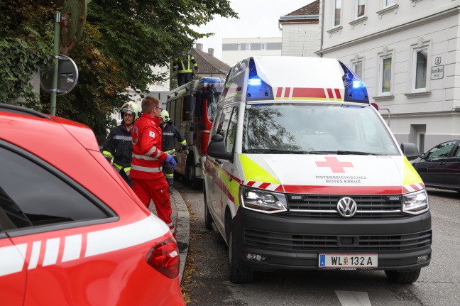 Reanimation: Leblose Person in Wels-Innenstadt aus Mühlbach gerettet