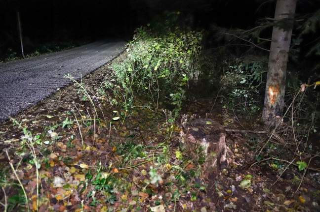 Alkolenker (20) kracht bei Verkehrsunfall in Schleißheim gegen Baum