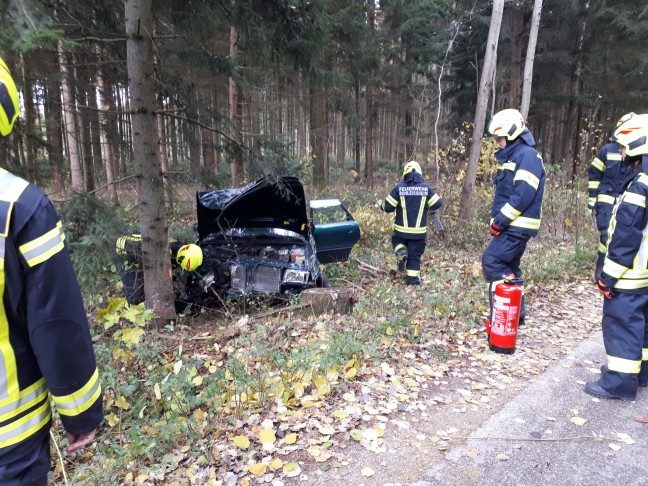 Alkolenker (20) kracht bei Verkehrsunfall in Schleißheim gegen Baum