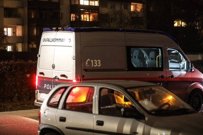 Autodiebe bei Fahndung nach Verkehrsunfall mit gestohlenem PKW in Wels festgenommen