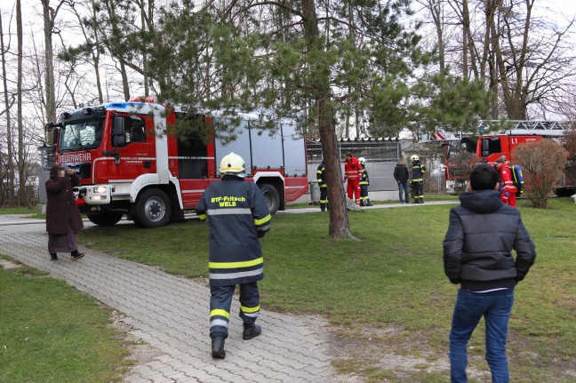Wohnungsbrand in Wels-Lichtenegg fordert drei Verletzte