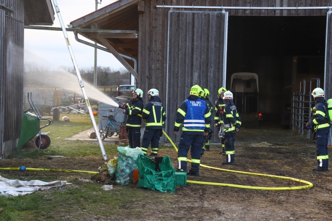 Brand im Ziegenstall eines Bauernhofes in Marchtrenk rechtzeitig entdeckt und gelöscht