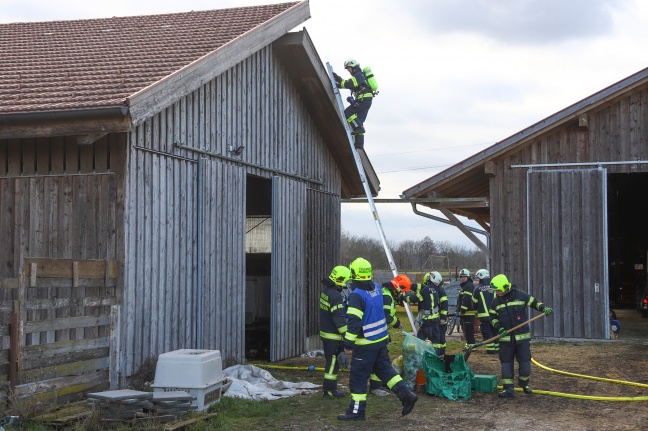 Brand im Ziegenstall eines Bauernhofes in Marchtrenk rechtzeitig entdeckt und gelöscht