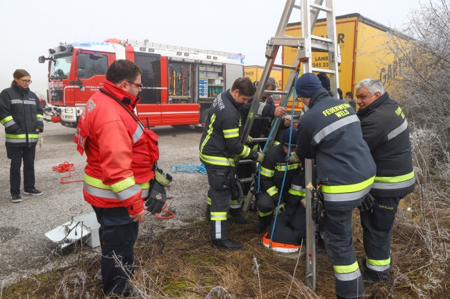 Feldhase in Wels-Vogelweide von Feuerwehr unverletzt aus Schacht gerettet