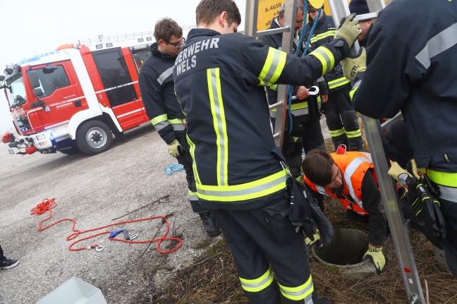Feldhase in Wels-Vogelweide von Feuerwehr unverletzt aus Schacht gerettet