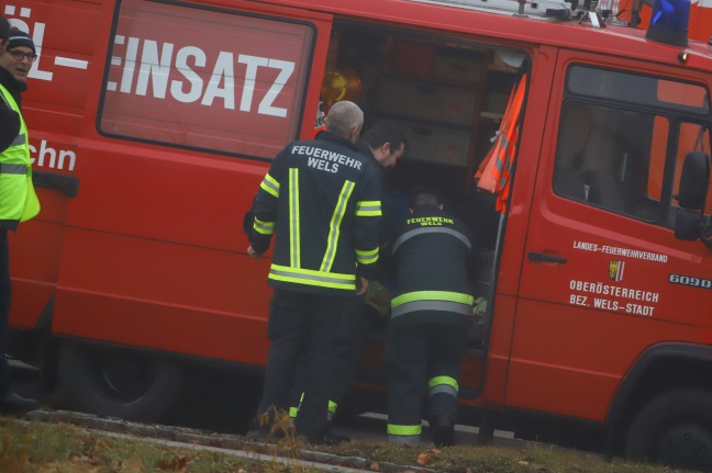 Hilfloser Schwan in Wels-Neustadt von der Feuerwehr eingefangen
