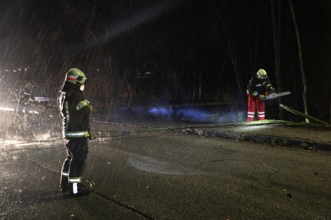 Gewitterfront mit heftigen Sturmböen sorgt für zahlreiche Sturmeinsätze