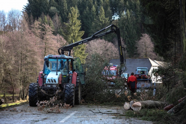 Orkantief "Sabine" zieht über Oberösterreich und sorgt für viele Einsätze und Stromausfälle