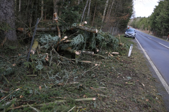 Auto kollidierte auf Pyhrnpass Straße bei Steinhaus mit umgestürzten Bäumen