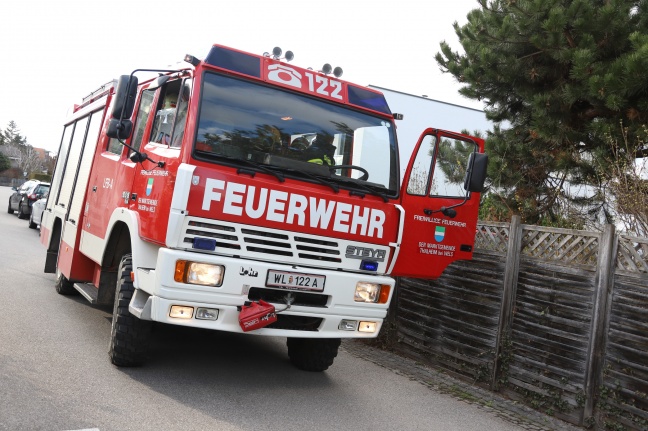 Kater Emilio nach viertägigem Ausflug in Thalheim bei Wels durch Feuerwehr von Hausdach gerettet
