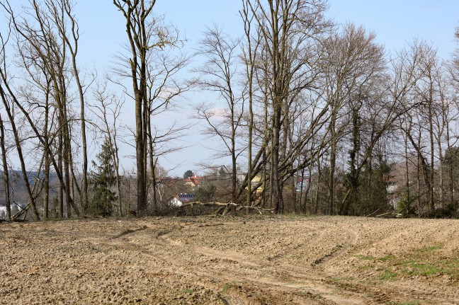 Personenrettung nach schwerem Forstunfall in Eberstalzell