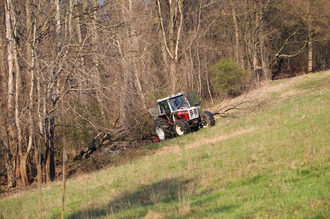 Personenrettung nach schwerem Forstunfall in Steinbach an der Steyr