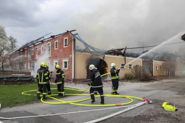 Brand dürfte bei Stalllüftungsanlage ausgebrochen sein - 1,2 Millionen Euro Schaden