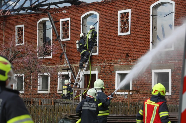 Brand dürfte bei Stalllüftungsanlage ausgebrochen sein - 1,2 Millionen Euro Schaden