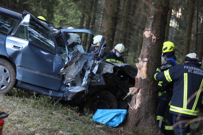 Tödlicher Verkehrsunfall: Beifahrer (15) stirbt bei Frontalcrash gegen Baum in St. Aegidi