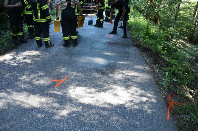 Drei Verletzte bei Verkehrsunfall auf einem Güterweg in Pinsdorf