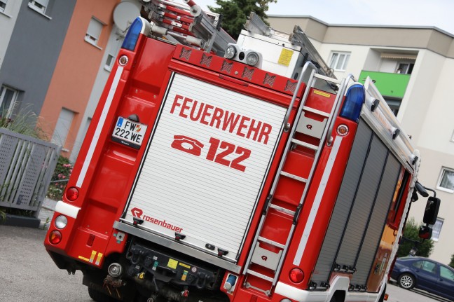 Rehkitz im Garten eines Hauses in Wels-Pernau von Einsatzkräften der Feuerwehr eingefangen
