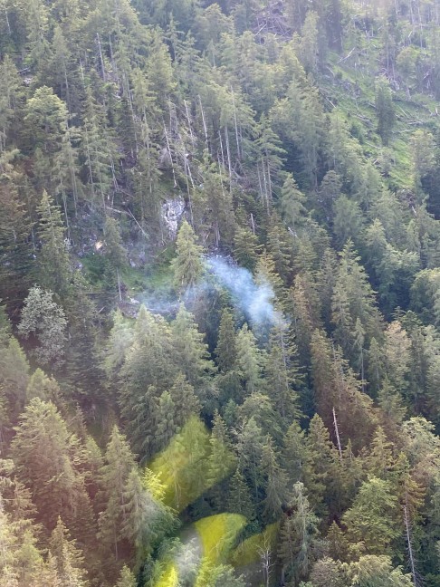 Blitzschlag: Brand eines Baumes in unwegsamem Gelände in Spital am Pyhrn