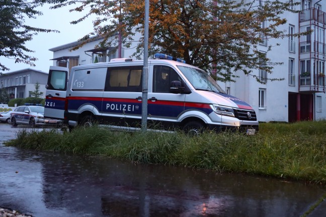 Stichverletzung: Großeinsatz der Polizei in einer Wohnsiedlung in Ansfelden