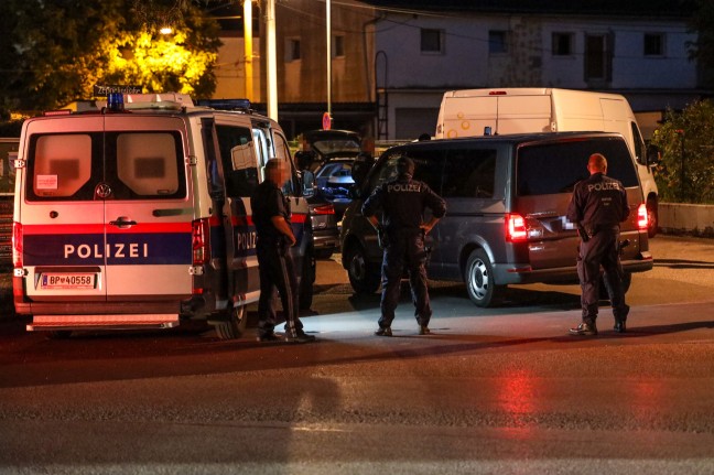 Weiterer Tatverdächtiger nach Mord in Niederösterreich verhaftet