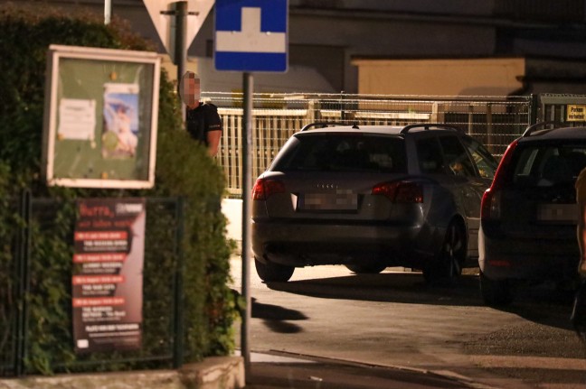 Weiterer Tatverdächtiger nach Mord in Niederösterreich verhaftet
