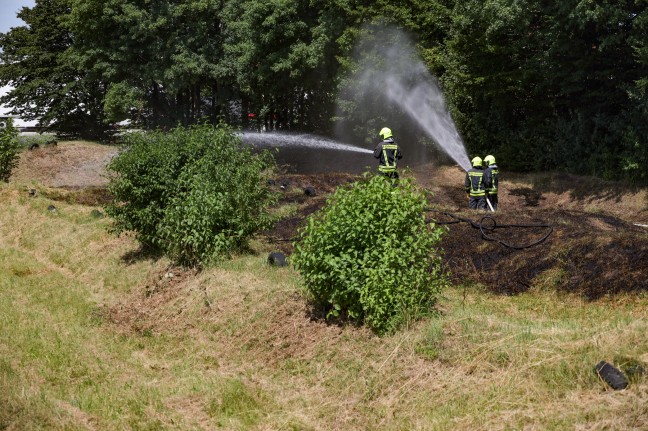 Zwei Feuerwehren bei Brand einer Wiesenfläche in Ansfelden im Einsatz